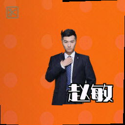 赵敏